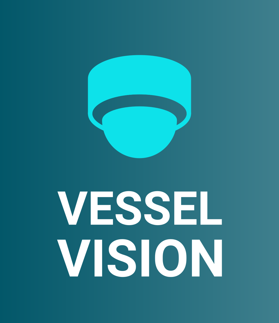 Vessel Vision logo